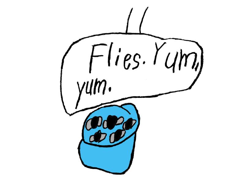 hoppy_frame_25.jpg